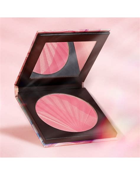 chanel blush ici paris|chanel blush palette.